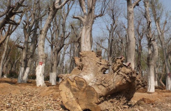 宁国有什么好玩的地方吗