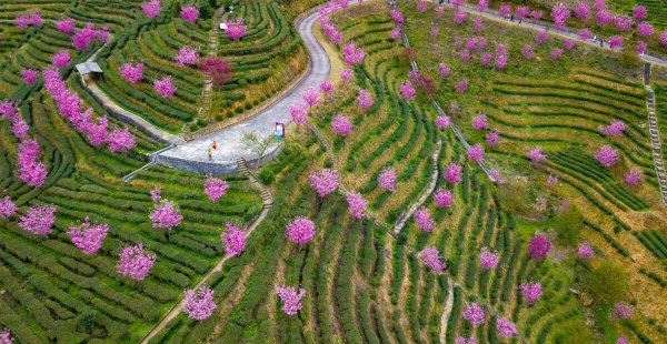 梅州有什么好玩的地方旅游景点