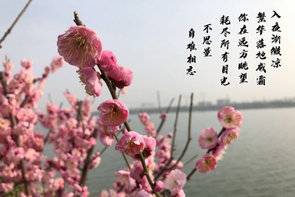 不浅什么意思