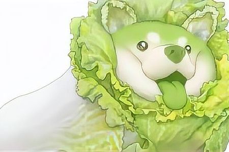卷死他们是什么意思