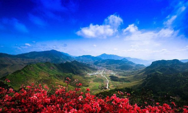 描写杜鹃花诗词名句鉴赏