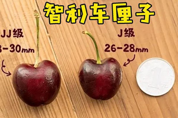 车厘子双j和3j的哪个好一点