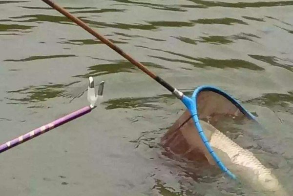钓鱼切线是什么意思
