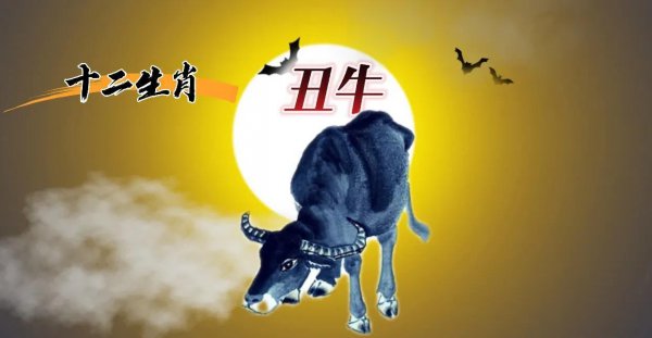 十二生肖的由来故事