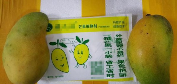 芒果和什么放一起可以催熟