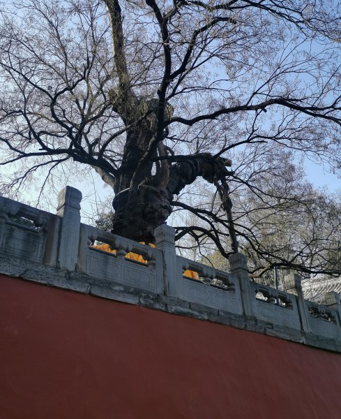 戒台寺介绍