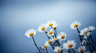 双子男喜欢的四种女人 最让双子男疯狂的4星座女