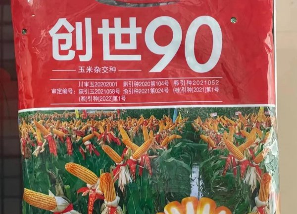 高产玉米种子排行