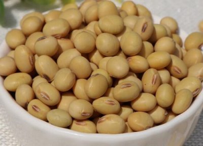 大青豆和黄豆的区别在哪里 两个品种4个方面的不同