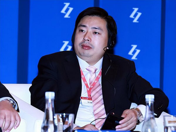 湖北富豪叶国富简介