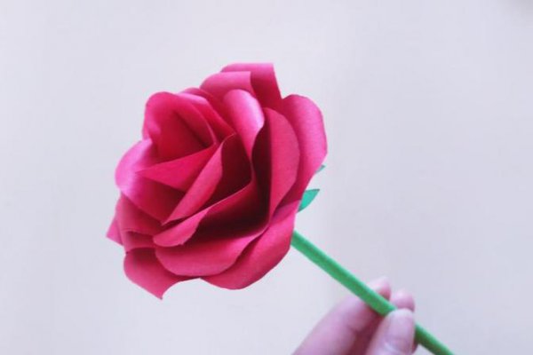 8朵玫瑰花代表什么意思
