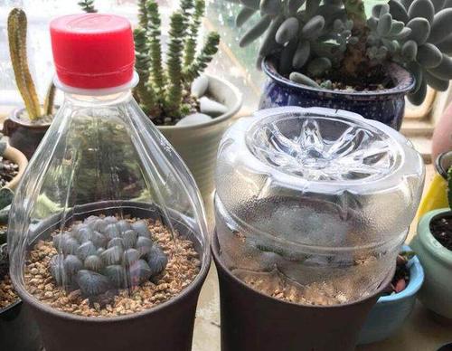 空矿泉水瓶的各种用途