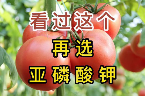 亚磷酸钾控旺效果怎么样