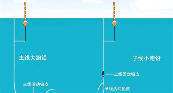 晚上钓鲢鳙钓多深
