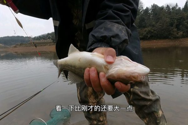 一天中钓鲈鱼最佳时间