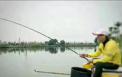 37调鱼竿适合钓什么鱼 根据不同鱼种选用不同竿子