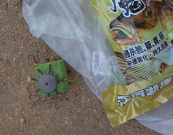 夏天用什么饵料钓鲫鱼最好