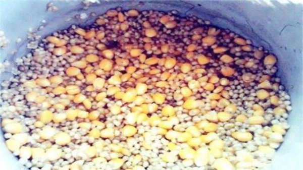 夏天用什么饵料钓鲫鱼最好