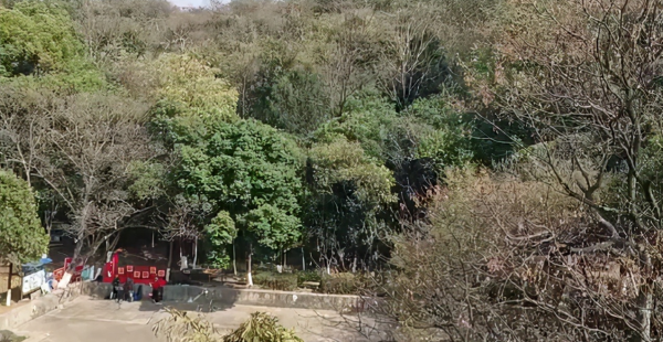 富川瑶族自治县是哪个市