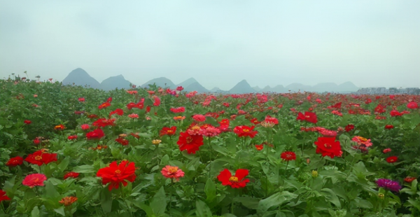 富川瑶族自治县是哪个市