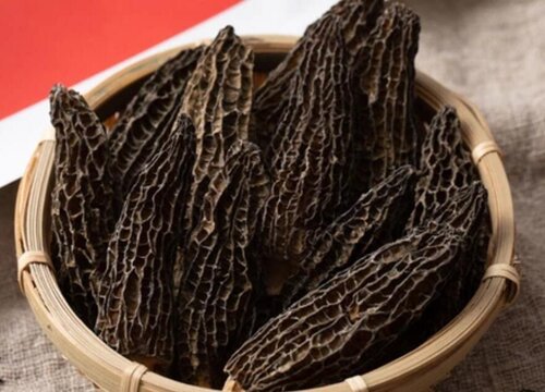 羊肚菌的人工种植环境要求及方法接受啊