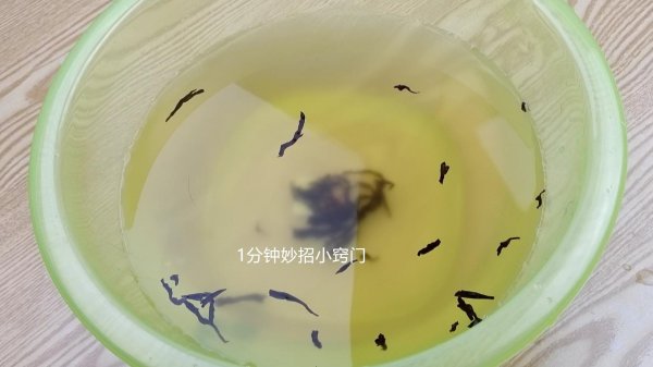 黑色裤子掉色严重怎么办