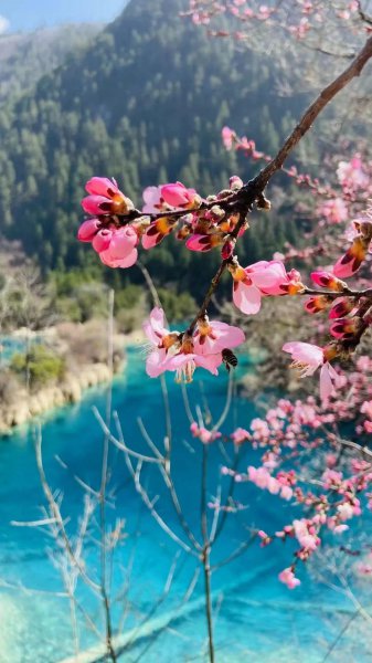 九寨沟旅游景点介绍