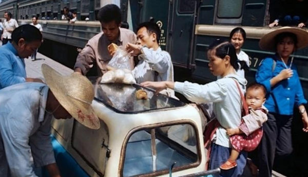 郑州市区是哪几个区