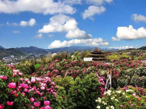 贵州毕节旅游景点有哪些地方