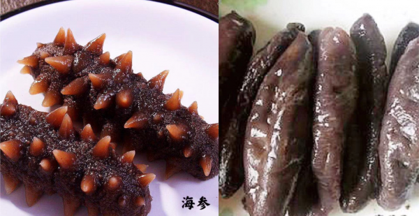 海参和海茄子的区别是什么