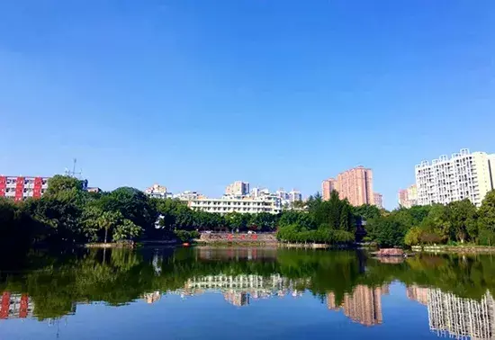 南充有哪些大学