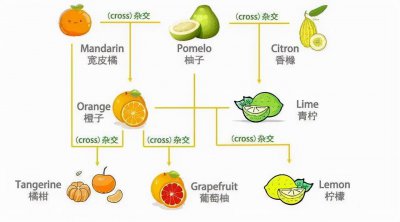 tخa(chn)ˮ