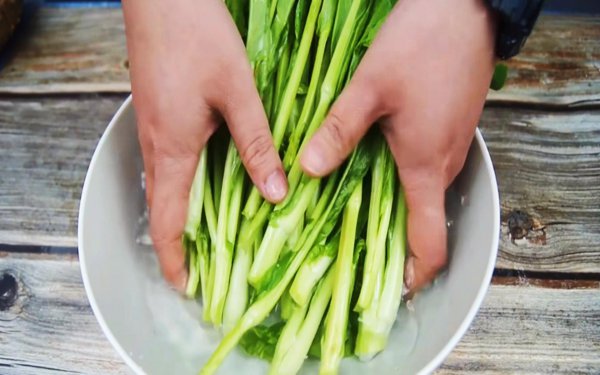 菜心的花能吃吗