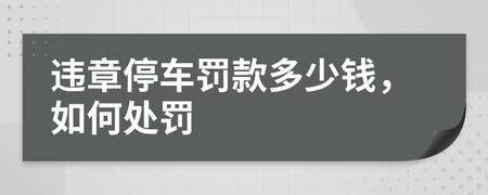 一般违法停车（F）款多少