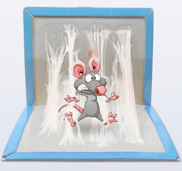粘鼠板怎么摆放才能粘到老鼠
