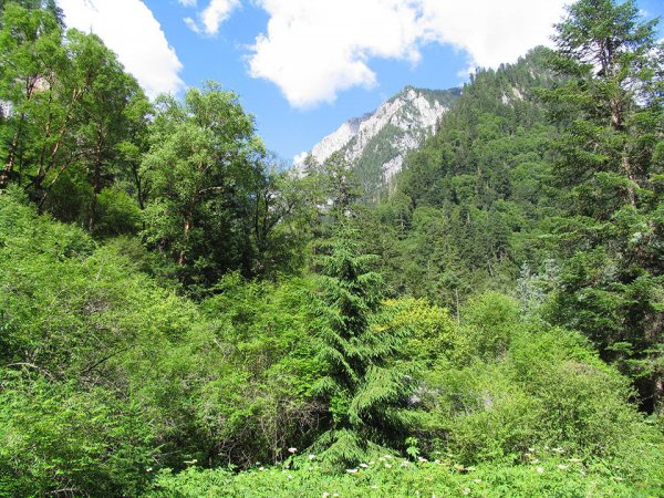 九寨沟是哪里的