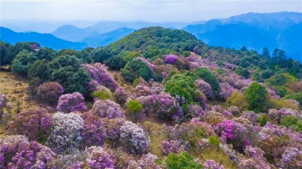 四川攀枝花十大旅游景点