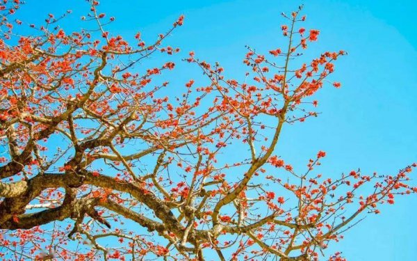 四川攀枝花十大旅游景点