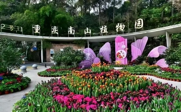 重庆南岸区有什么好玩的景点