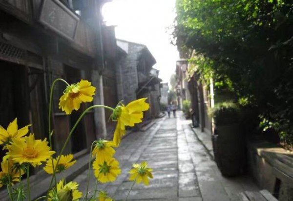 乌镇古镇在哪里