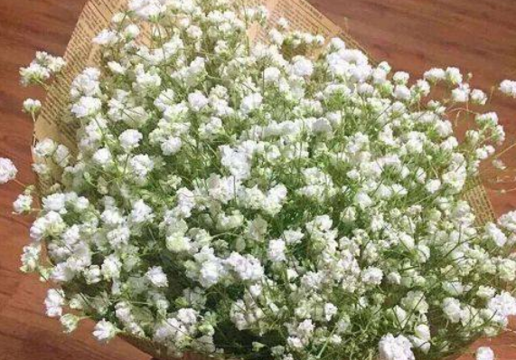 祭祖用什么花合适