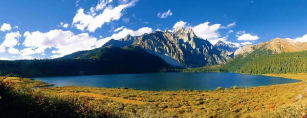 合肥私立高中学校有哪些