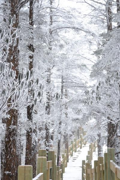 西岭雪山海拔高度是多少米