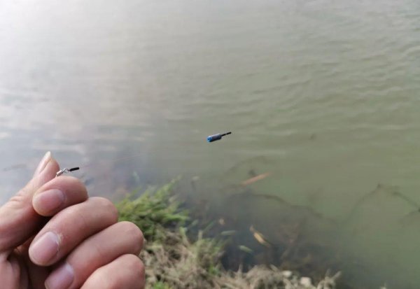 钓大物调漂的正确方法