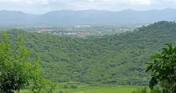 从化必去十大免费景点