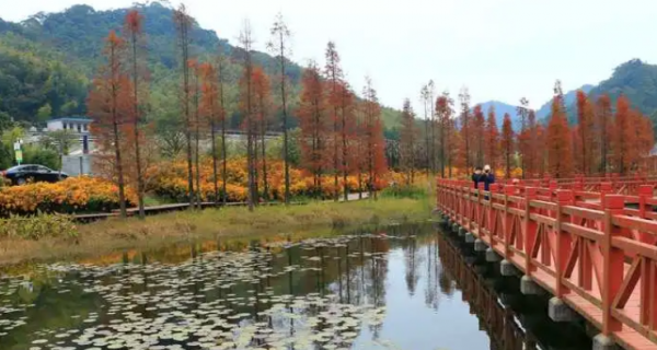 从化必去十大免费景点