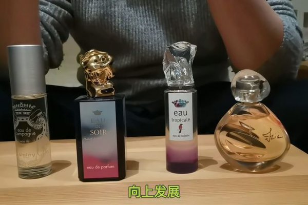 sisley是什么牌子的化妆品
