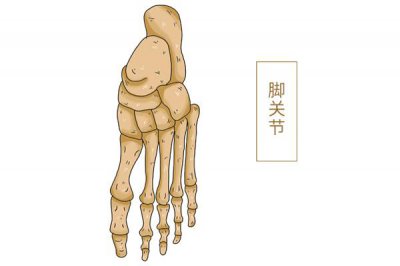 人的骨头有多少块 人体有206块骨头中国人少了两块