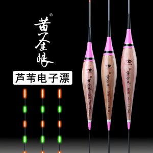 电子漂什么牌子好 电子夜光漂十大名牌推荐