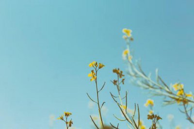 男人眼里会有纯友谊吗 异性之间的纯友谊是真的吗